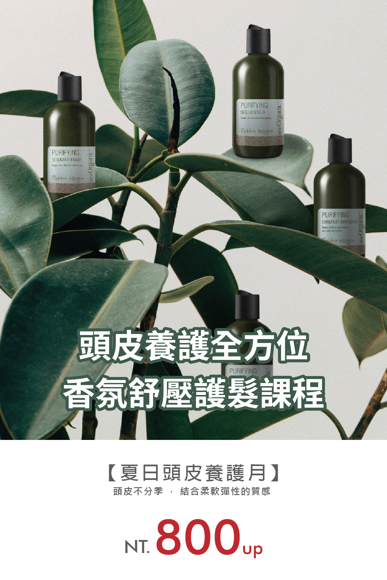 Read more about the article 🔸 八月 🔸 夏日頭皮の養護月